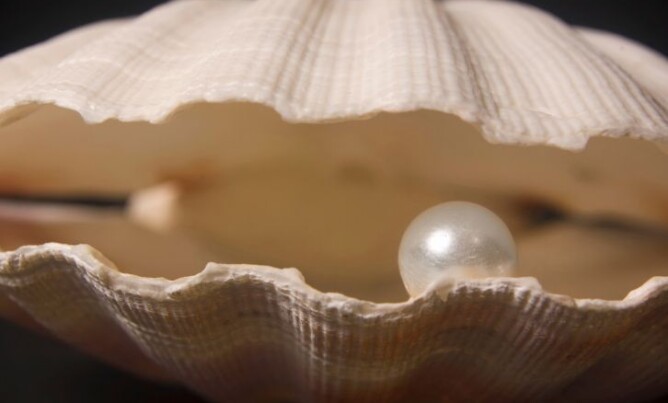 How do pearls form?